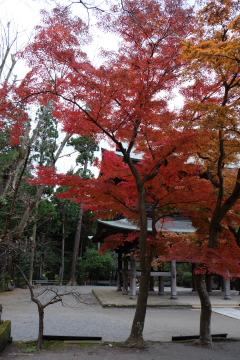 c0339296_8321719.jpg