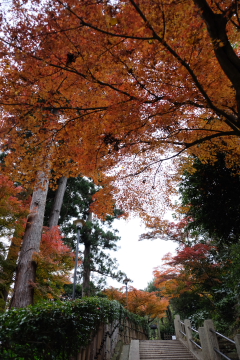 c0339296_8324651.jpg
