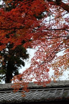 c0339296_832633.jpg