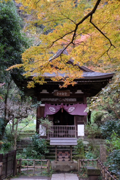 c0339296_8355231.jpg