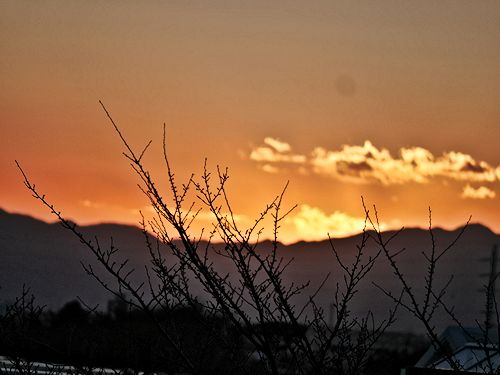 c0090198_20134699.jpg