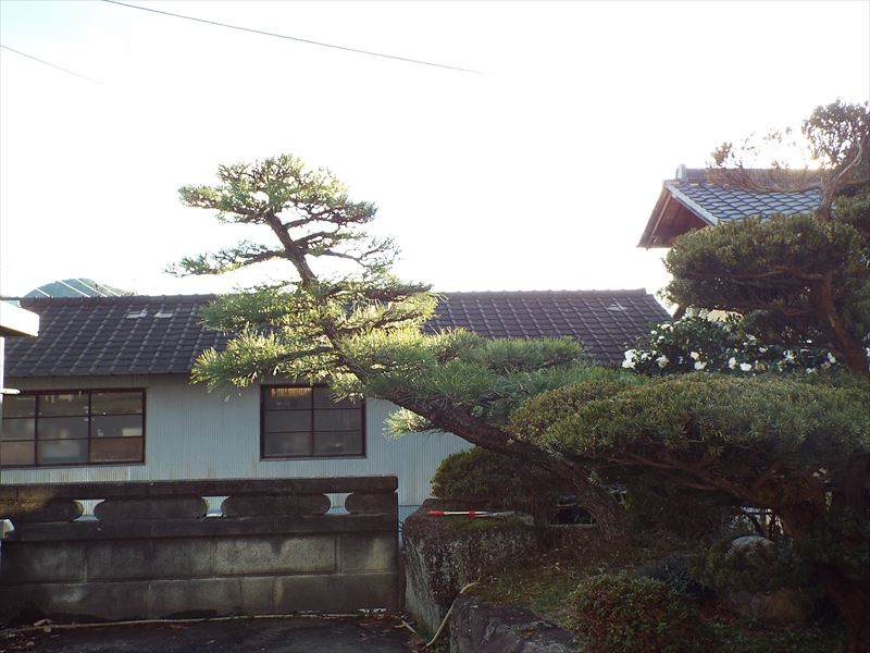 c0108198_1736577.jpg