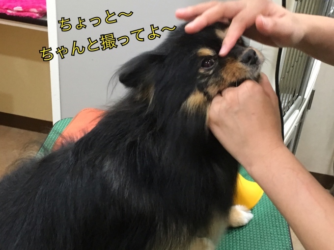 d0269898_18541480.jpeg