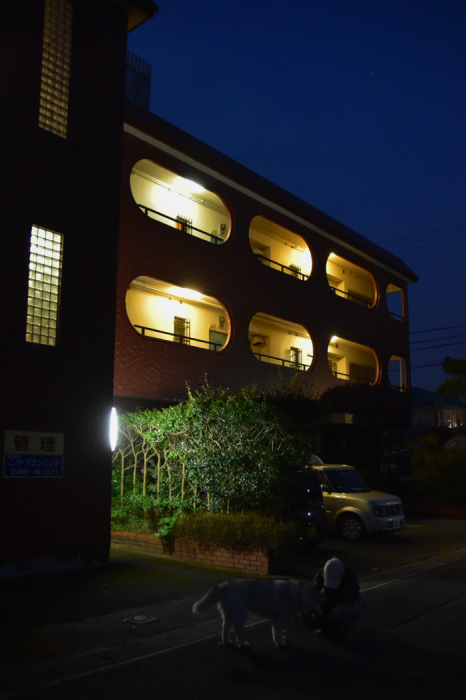 c0049299_20313778.jpg