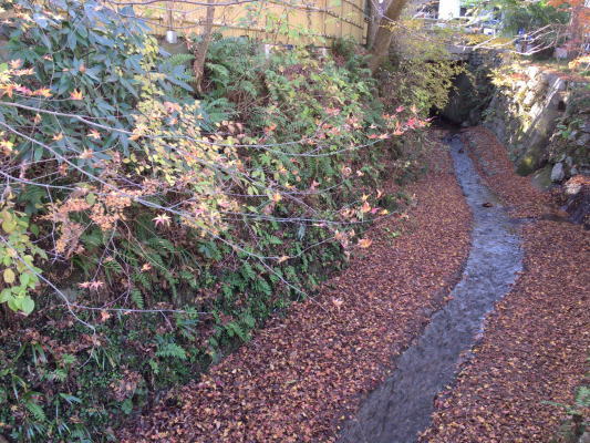b0160300_23355215.jpg