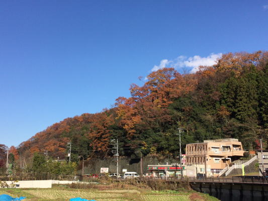 b0160300_23381151.jpg