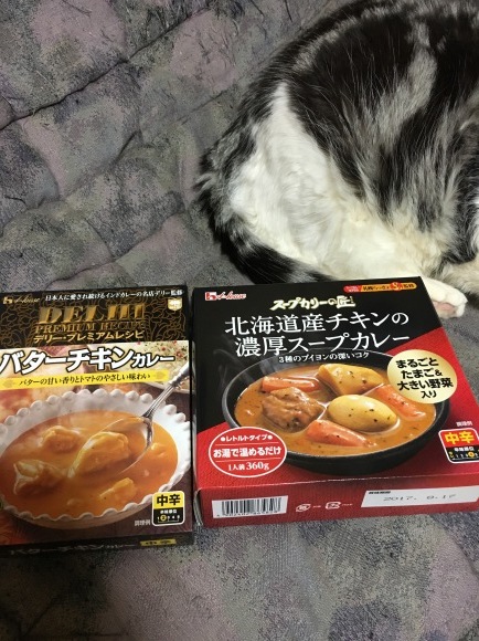 c0011300_23315893.jpeg