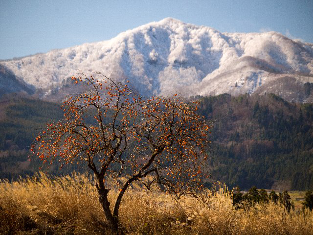 c0008502_1952152.jpg