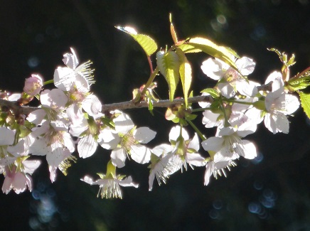 b0125808_22324119.jpg
