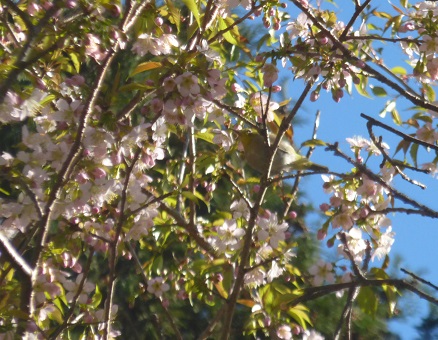 b0125808_22352825.jpg