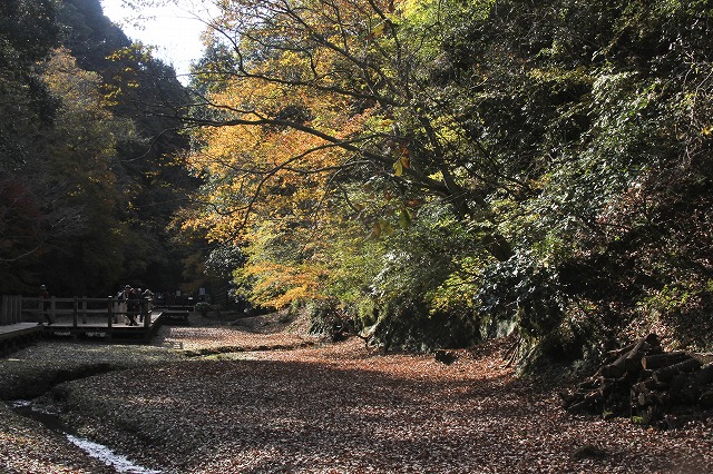 e0121110_22202033.jpg