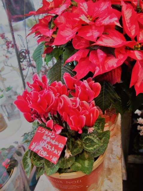 c0103830_17072736.jpg