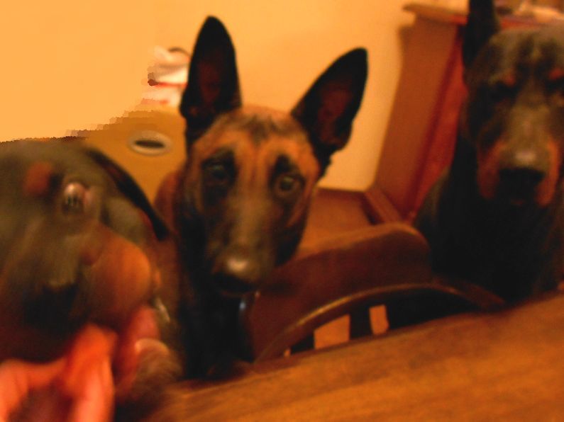 f0088731_02010103.jpg