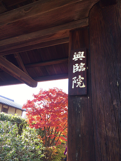 b0035734_16484854.jpg