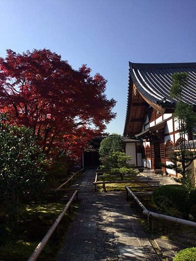 b0035734_17435.jpg