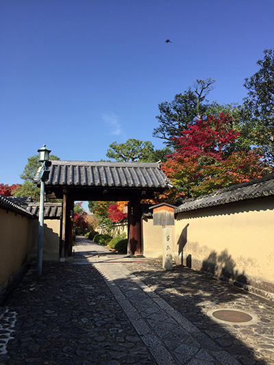b0035734_1744736.jpg