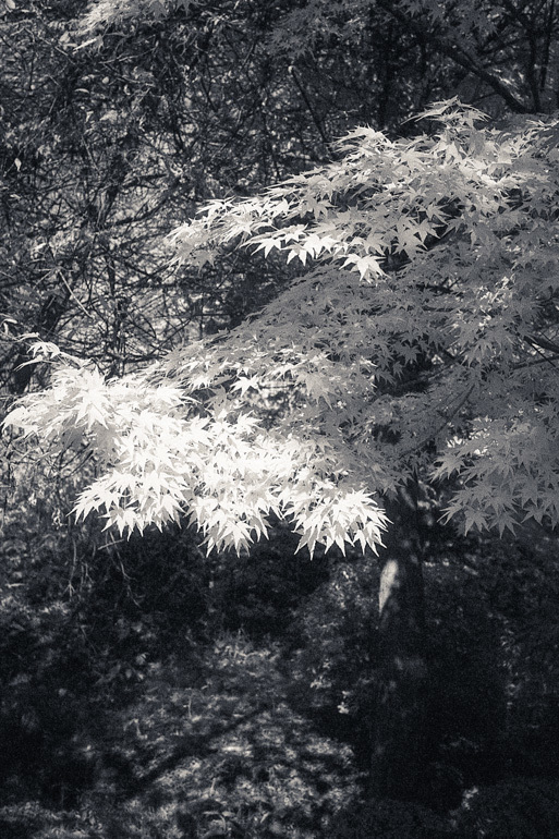 f0265234_21414927.jpg