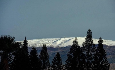 d0164636_756228.jpg