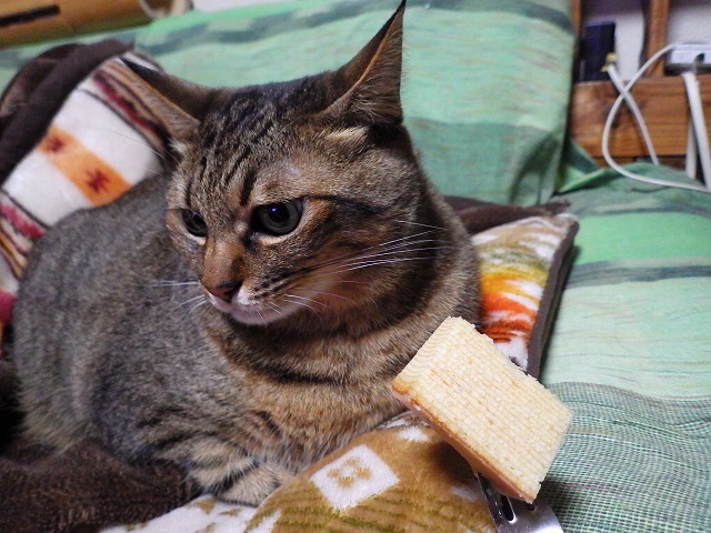a0337237_14393077.jpg