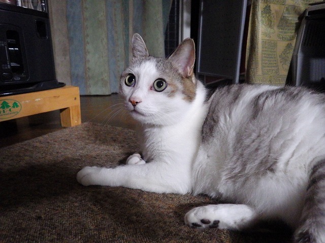 a0337237_14404827.jpg