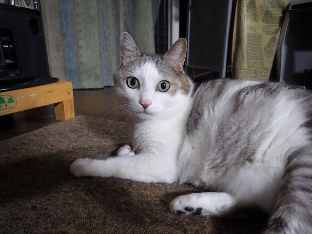 a0337237_14404948.jpg