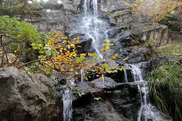 a0242438_19261965.jpg