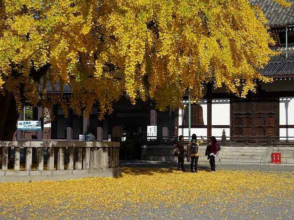 b0299042_10462148.jpg