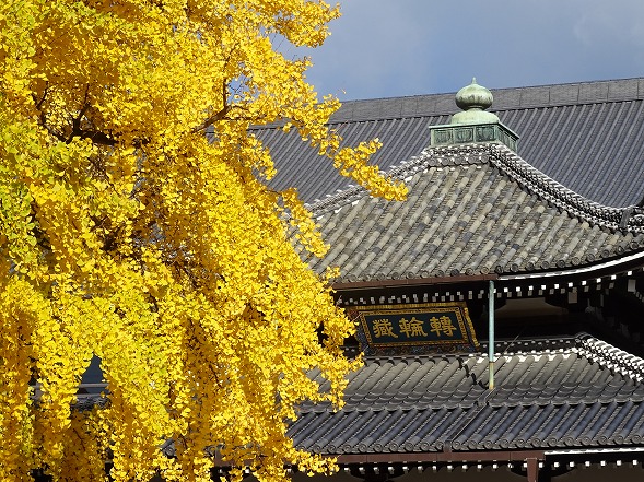b0299042_1046730.jpg