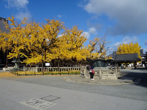 b0299042_10473325.jpg