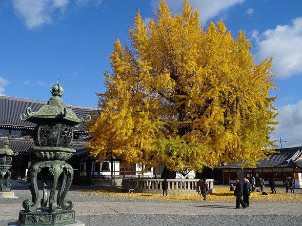 b0299042_1048121.jpg