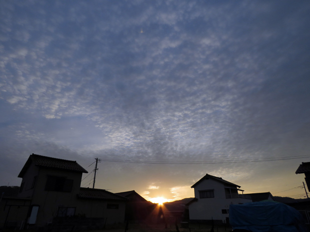 f0214649_5524256.jpg