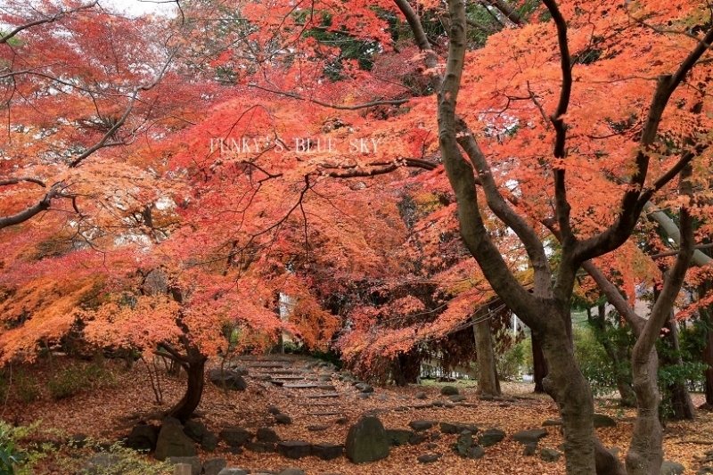c0145250_08570538.jpg