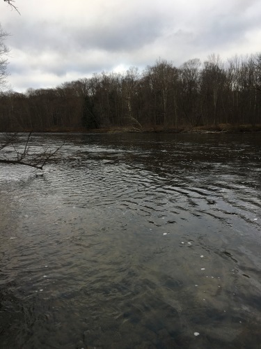 c0325354_11221549.jpg