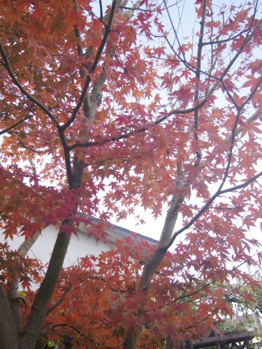 b0246758_22353143.jpg