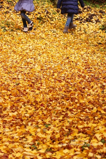 b0366862_21555516.jpg