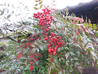 c0117570_16233775.jpg