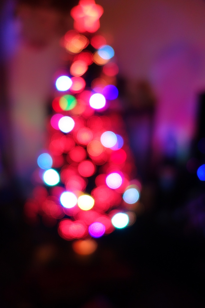 c0216472_18112679.jpg