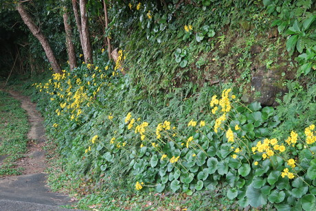 e0292172_20334489.jpg