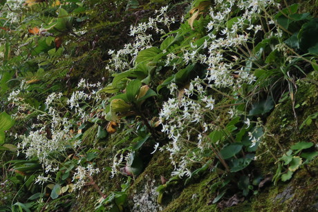 e0292172_20342221.jpg