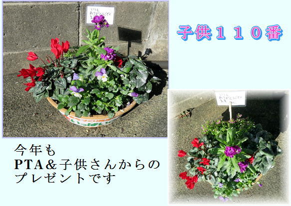 f0003174_14533417.jpg