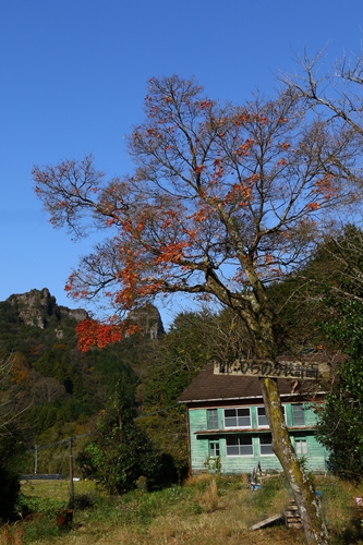 d0126577_19515362.jpg