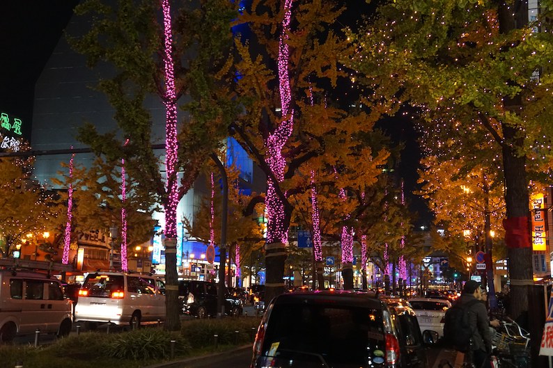 b0057679_9193455.jpg