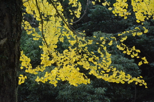 c0204385_16091066.jpg