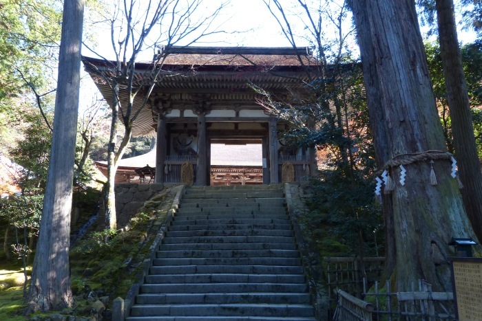f0227396_16441421.jpg