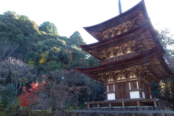 f0227396_16451518.jpg