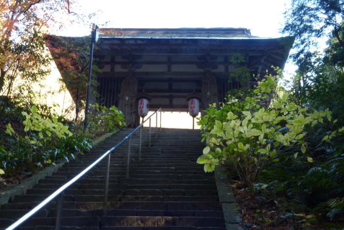 f0227396_16522905.jpg
