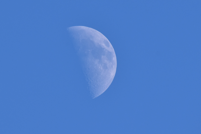 c0049299_21232971.jpg