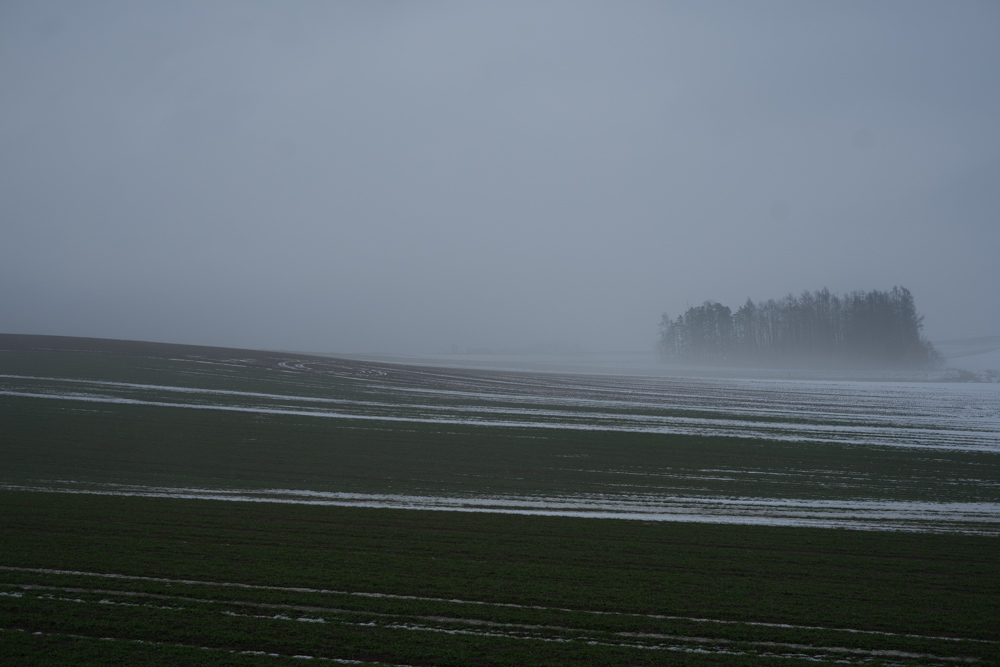 d0079499_20214784.jpg