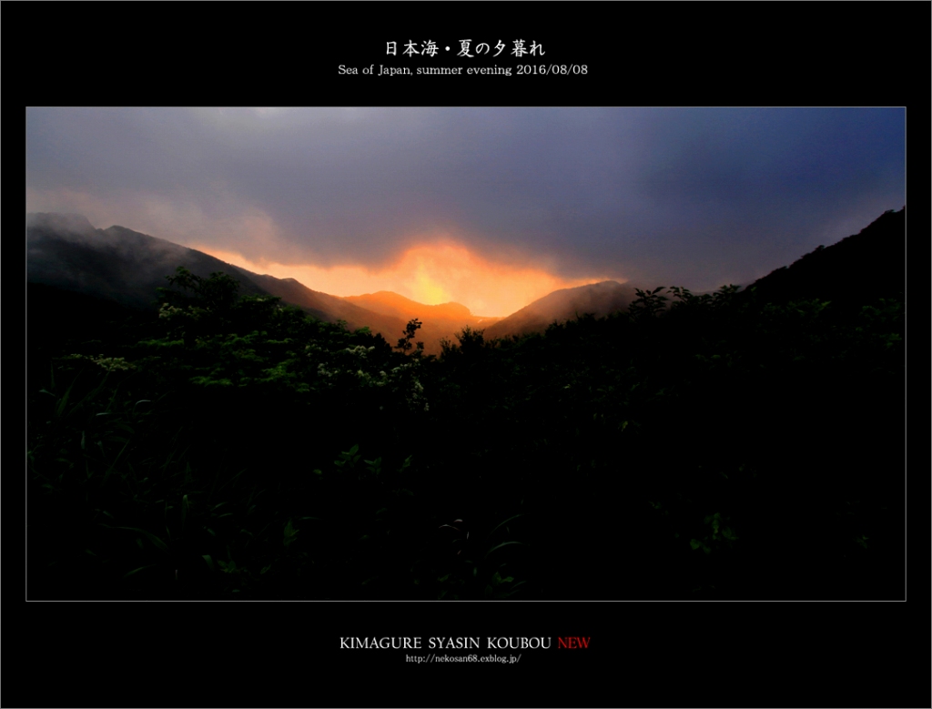 d0353401_22232784.jpg