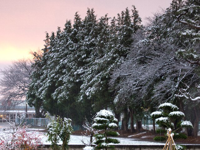 c0008502_1611497.jpg